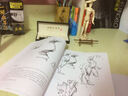 伯里曼人体结构绘画教学（白金版） 实拍图