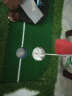 PGM 高尔夫推杆练习器 室内高尔夫  果岭练习毯 高尔夫迷你练习垫套装 四色草0.5*3M+推杆 实拍图
