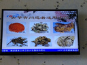 道古驰 专用别克凯越新英朗威朗君威昂科威君越阅朗昂科拉GL6全包围丝圈汽车脚垫 黑色米线+黑色丝圈 主驾驶 实拍图