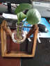 蔓森鑫简约现水培容器绿萝植物透明玻璃花瓶客厅办公桌面摆件花器装饰品 做旧木架单瓶（不含植物） 晒单实拍图