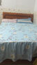 雅鹿 床裙单件 单人春夏双边床套单件双人韩式床罩床盖床单1.5米床 青春【含绑带加固】 150x200cm单床裙 实拍图