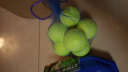 WITESS 威特斯初级训练比赛耐打网球 不带线网球5只装 实拍图