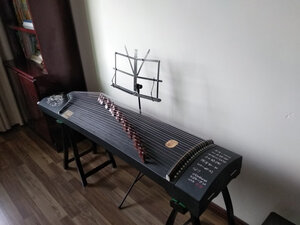 揭秘仙声 古筝怎么样呢?质量很烂是真的呀?