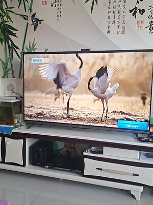 测评反馈海信55E3F-MAX和TCL 55T88D哪个好什么区别?说下对比感受