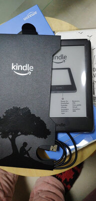 说一说Kindle青春版梵高套装怎么样？质量如何好不好用？【反馈】