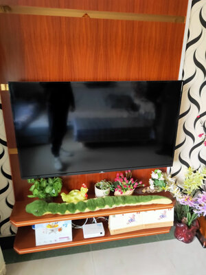 爆料TCL 50L8怎么样？一个月使用非常后悔吗?