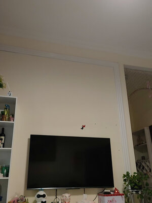 入手半年TCL雷鸟 55S535C和海信55E8D哪个好区别？值得买吗？【求助】