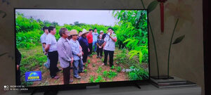 TCL 55V8-PRO怎么样质量烂不烂?质量被曝光了?