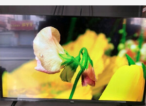 爆料TCL 50L8怎么样？一个月使用非常后悔吗?