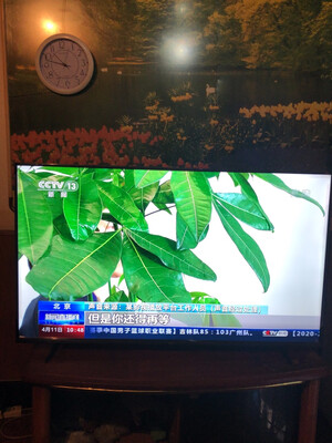 重要提醒:TCL 55V8-PRO怎么样,质量差不差是真的吗?