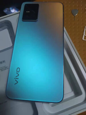 反馈对比vivo S10 Pro和vivo S10哪个好？能用几年？售后好吗？