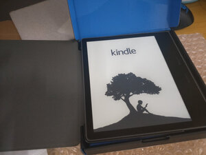 说说评测感受kindle oasis 3 梵高套装怎么样？使用注意哪些问题？