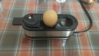 ���������ٶȷǳ���...