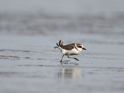 �������콢��ÿ��16��...