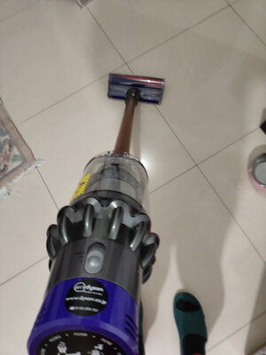 �ǳ��õĲ�Ʒ��������...