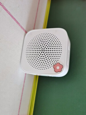 小爱音箱play使用评测