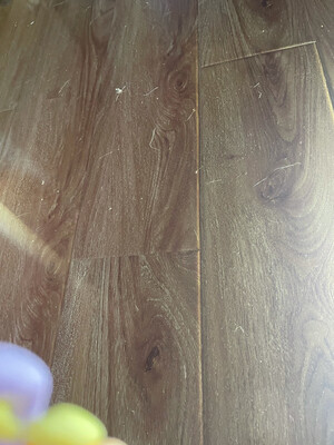 ͦ�� �����е��� ����...