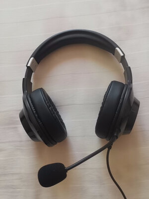 �����ǳ��ᣬ����ͷ��...