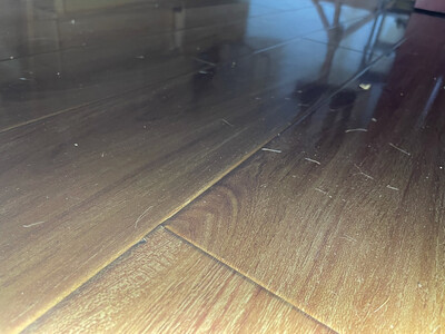 ͦ�� �����е��� ����...