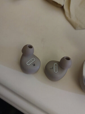 û�����۵ĵ�����ͷ��...