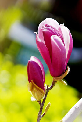 ��ˮƬ�ð��£���...