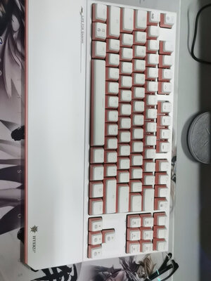 �����ֵ����ɫyyds
...