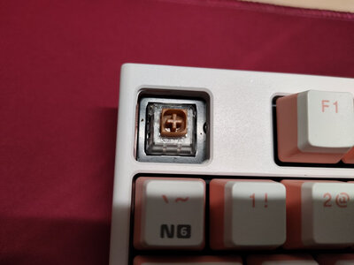 ����box��һ�缴����...