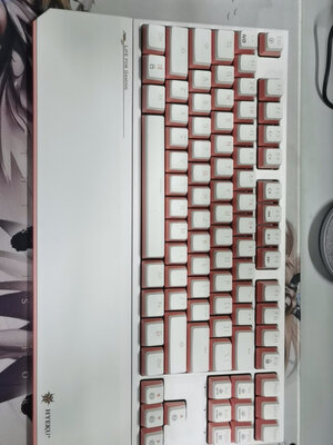 �����ֵ����ɫyyds
...