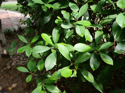 �����ֵ:�ܺÿ�����...