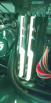 ��⼦�������������...