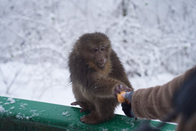 ������������������̬...