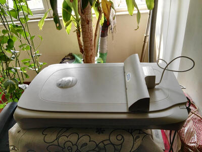 �������ɨ���ǵ�ɨ��...