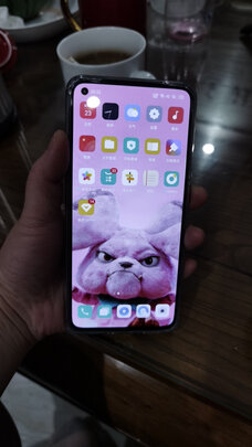 优缺点剖析oppo ace2和reno ace哪个好？质量评测区别