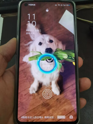 图文测评oppo ace2和小米10pro区别是什么？哪个更好