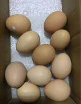 堆草堆土鸡蛋哪个性价比高、质量更好,评测下来告诉你坑不坑