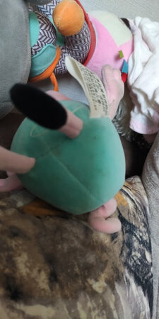 舒适度：还行，就是连接不大稳定