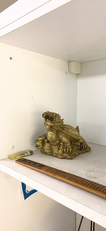 挺不错的