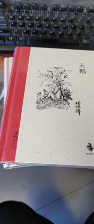 经典怀旧系列，真是不错，部分已绝版买不到了。现在孩子刚2年级还看不了。估计到5、6年级吧。。。。
海豚出版社出版的经典怀旧系列，真是不错，部分已绝版买不到了。现在孩子刚2年级还看不了。估计到5、6年级吧。