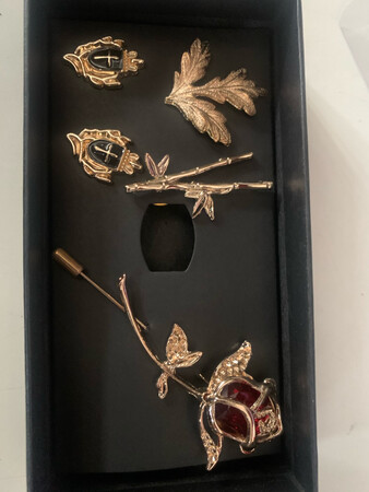 京东物流就是快，收到货迫不及待打开看，一眼看去就喜欢上了，实物跟图片一模一样，非常漂亮，这款胸针外观金灿灿的，戴上恰到好处，可以提升个人穿着时尚感，也彰显自己独特个人品味，提升个人的整体气质非常棒。