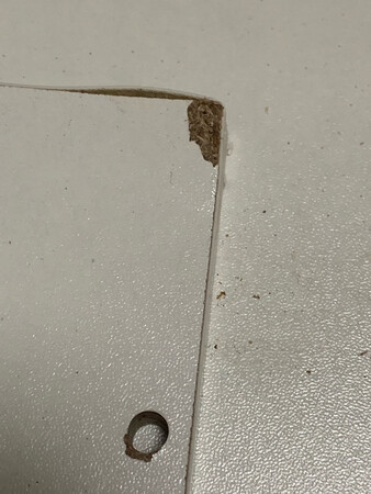 京东送货速度很快！但产品质量不过关，材质不佳，出现板材质量问题，只好申请退货了