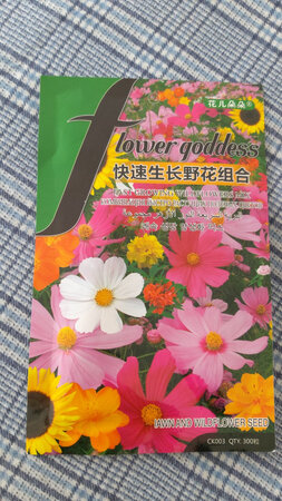 现在北方比较冷了，等来年开春再种了