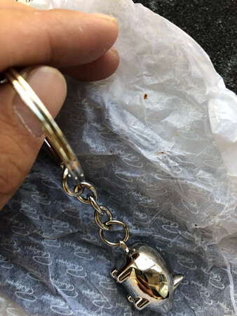 生锈了？体验极差。生平最差的一次购物 一个钥匙扣这么贵质量还这么差 盒子一打开脏脏的 好想骂人