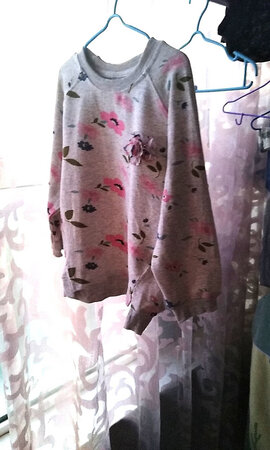 衣服质量还可以，里面有一层薄绒，但这件衣服很容易粘毛也是真的。