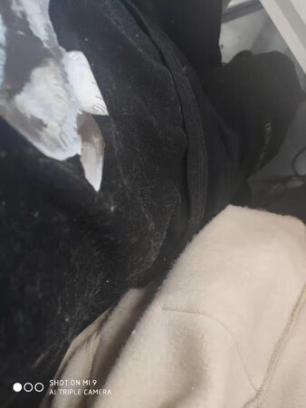 衣服质量极差   而且里面还掉毛   客服服务态度也差   看了以后不回消息