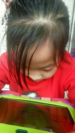 用了一段时间才来评价，孩子每天学的很认真，小学初中，高中，都有！孩子很喜欢