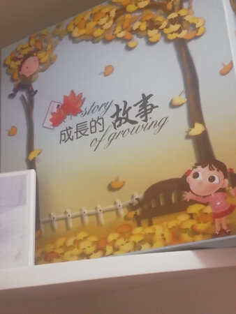 很好用，能放好多照片，有大的格子，也有小的格子。设置合理。
