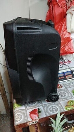 放在店里用的，因为不想买那种KTV音响要吊顶太麻烦了，就买了一个户外音响，效果很好，质量不错，客服的服务态度也好，物流也很快，价格也很实惠，像我们这种开小本店铺的，买不了多好的音响的，然后就买了这个音响，结果不比那些大牌差，音质很好，非常满意