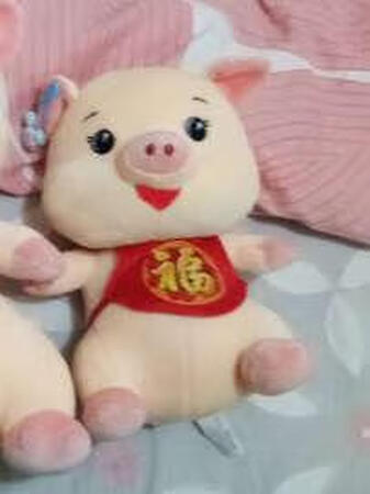 公司活动纪奖品，还可以