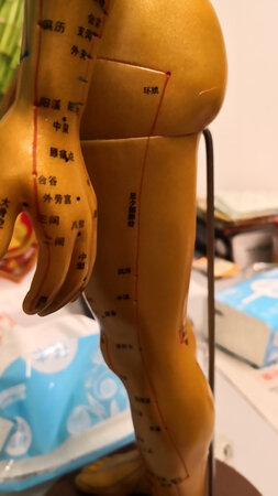有了它，在帮客人贴老曾膏药时找穴位就更容易了