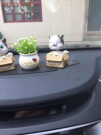 猫的脖子太长了，弹簧都看得见了